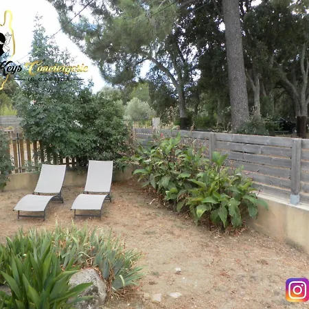 Mon Amour De Vacances - A 5min De La Plage De Pinarello Holiday home *
